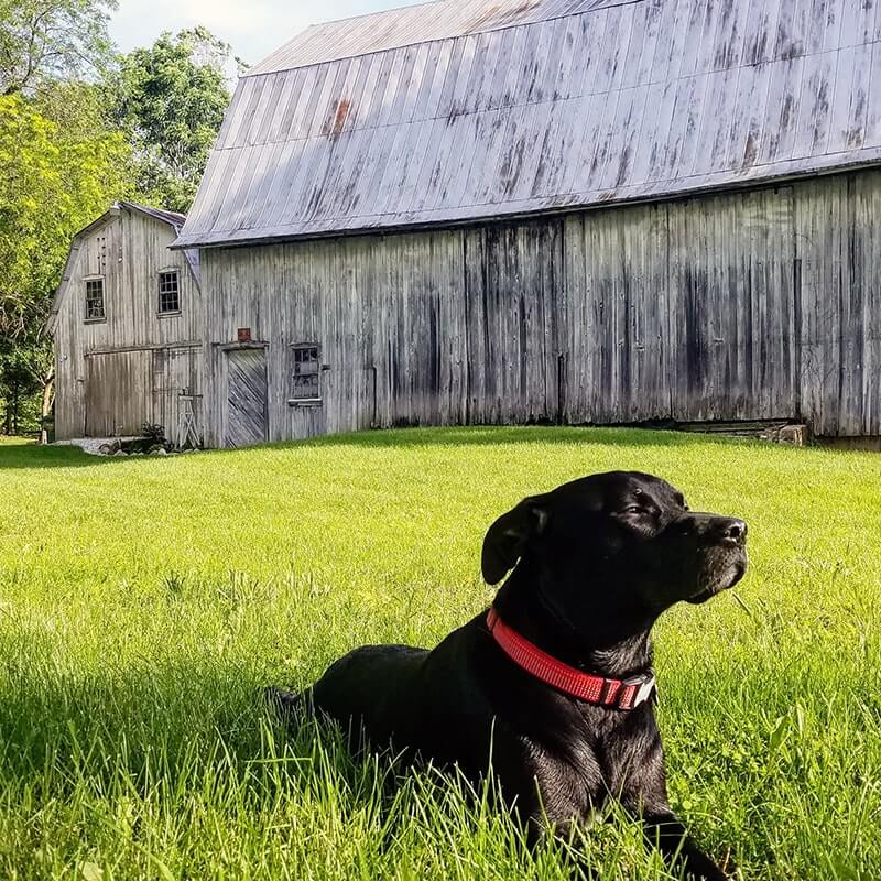 Bucket & Barn